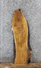 Thumbnail for Live Edge White Oak Charcuterie/Taxidermy/Bench Slab 570