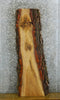 Thumbnail for White Oak Rustic Live Edge Bark Slab 571