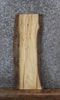 Thumbnail for Rustic Natural Edge Ash Book Shelf Slab 576