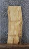 Thumbnail for Rustic Natural Edge Ash Book Shelf Slab 576