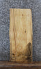 Thumbnail for Rustic Natural Edge Ash End Table Slab 577