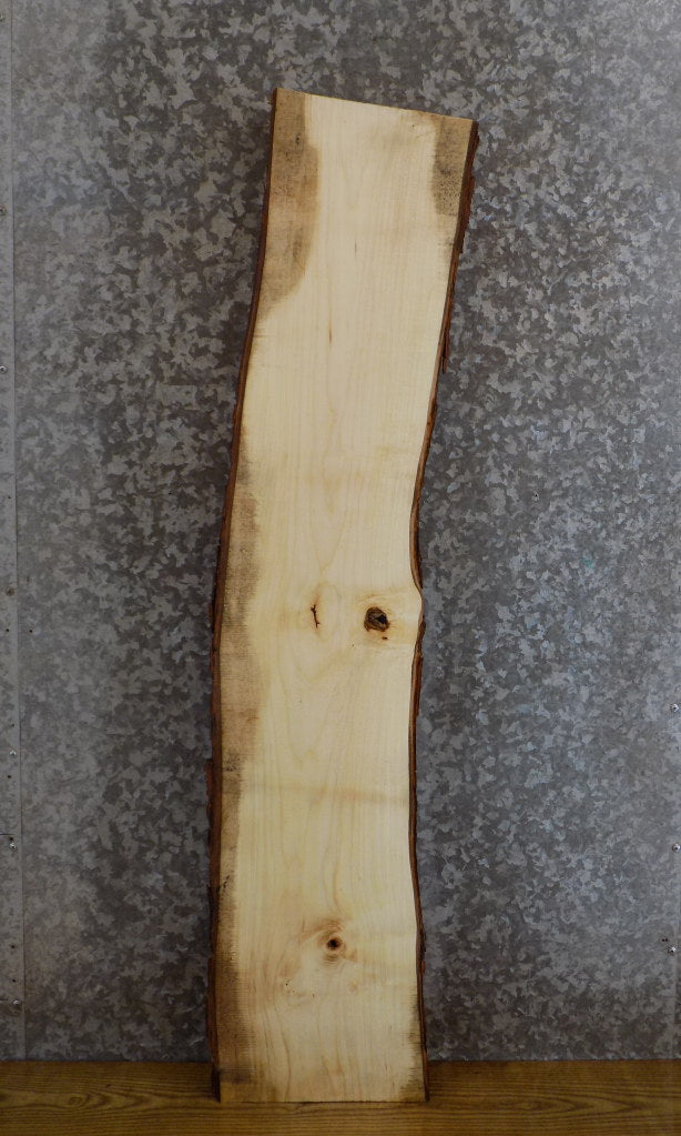 Natural Edge Bark Maple Rustic Floating Shelf Wood Slab 589