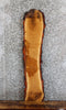 Thumbnail for Live Edge Red Oak Side Table Top/Wall Shelf Slab 592