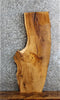 Thumbnail for Live Edge White Oak Sofa/Coffee Table Top Slab 594
