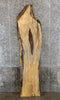 Thumbnail for Live Edge Spalted Maple Rustic Bar Top Wood Slab CLOSEOUT 5