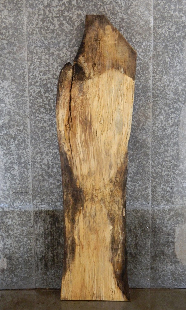 Live Edge Spalted Maple Rustic Bar Top Wood Slab CLOSEOUT 5