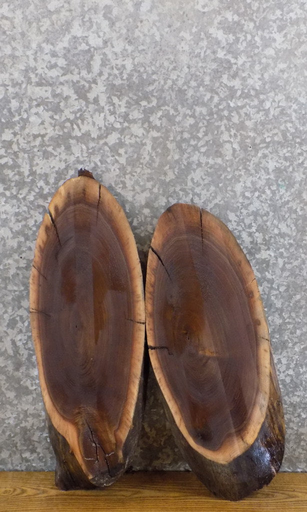 2- DIY Live Edge Black Walnut Oval Cut Charcuterie Boards/Slabs 6001-6002