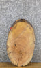 Thumbnail for Natural Edge Oval Cut Ash DIY Charcuterie Board/Serving Tray 6029