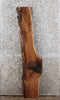 Thumbnail for Live Edge Black Walnut Cocktail Table Top/Wall Shelf 603