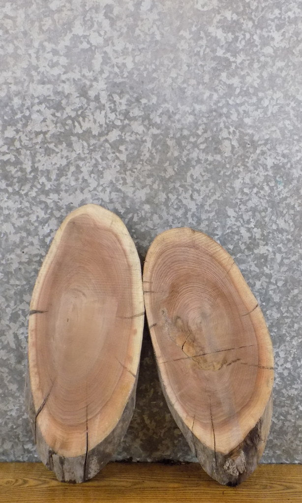 2- DIY Live Edge Black Walnut Oval Cut Rustic Charcuterie Boards 6042-6043