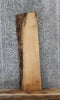 Thumbnail for Live Edge Maple Book Shelf Slab 604