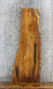 Thumbnail for Live Edge White Oak Coffee/Sofa/Side Table Top Slab 605