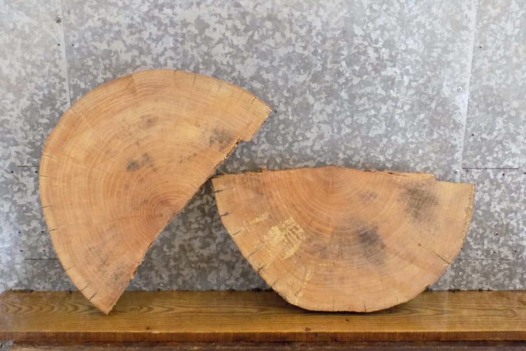 2- Live Edge Round Cut Ash End Table Top/Split Board Slab Halves 6061