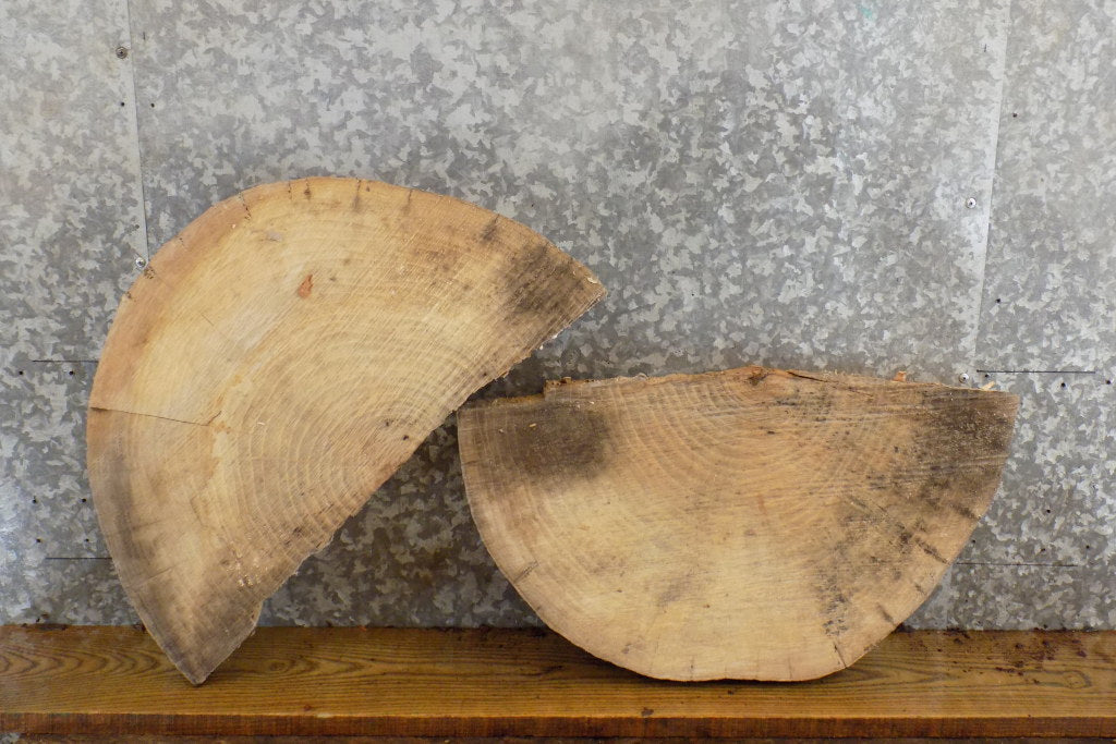 2- Live Edge Round Cut Ash End Table Top/Split Board Slab Halves 6061