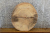 Thumbnail for 2- Live Edge Round Cut Ash End Table Top/Split Board Slab Halves 6061