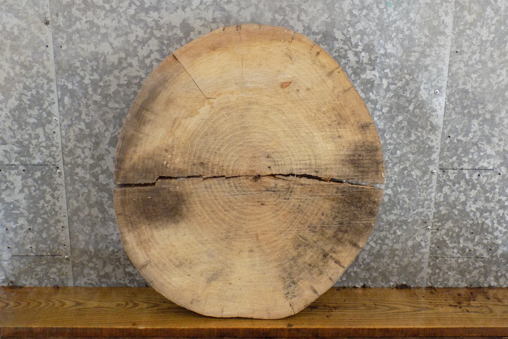 2- Live Edge Round Cut Ash End Table Top/Split Board Slab Halves 6061