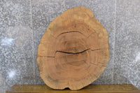 Thumbnail for 2- Natural Edge Round Cut Ash Split Board Slab Halves 6064