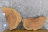 Thumbnail for 2- Natural Edge Round Cut Ash Split Board Slab Halves 6064