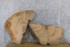 Thumbnail for 2- Natural Edge Round Cut Ash Split Board Slab Halves 6064