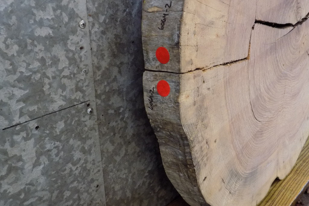 2- Natural Edge Round Cut Ash Split Board Slab Halves 6064