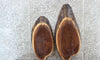 Thumbnail for 2- Live Edge Black Walnut Oval Cut Taxidermy Mounts/DIY Pack 6121-6122
