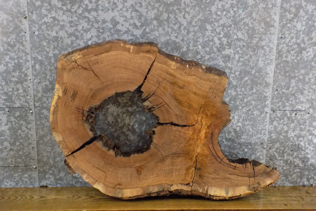 2- Live Edge White Oak Oval Cut Rustic Split Board/Epoxy Project 6131