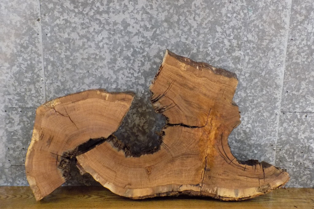 2- Live Edge White Oak Oval Cut Rustic Split Board/Epoxy Project 6131