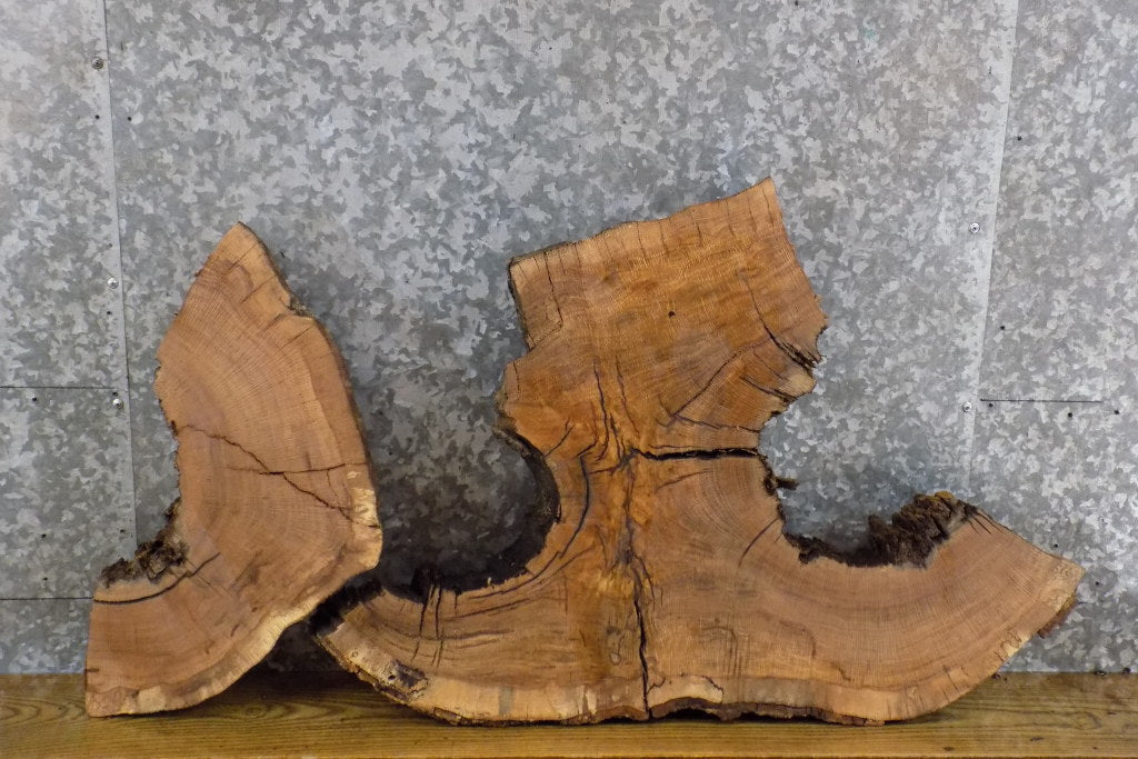 2- Live Edge White Oak Oval Cut Rustic Split Board/Epoxy Project 6131