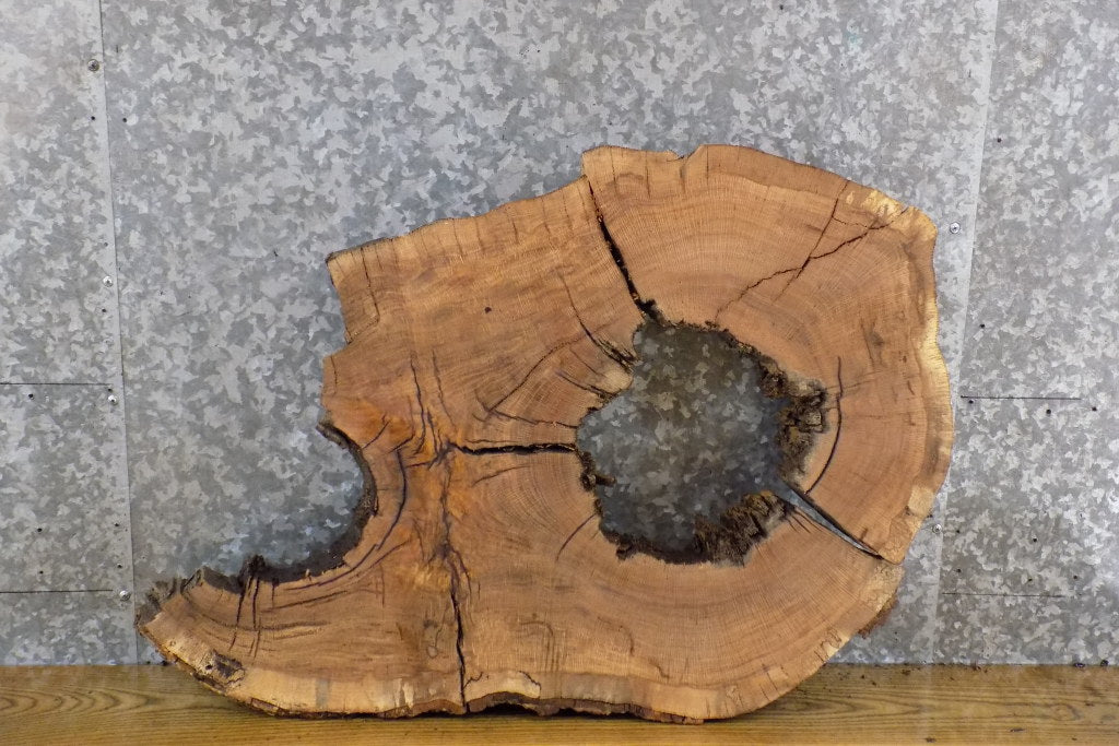 2- Live Edge White Oak Oval Cut Rustic Split Board/Epoxy Project 6131