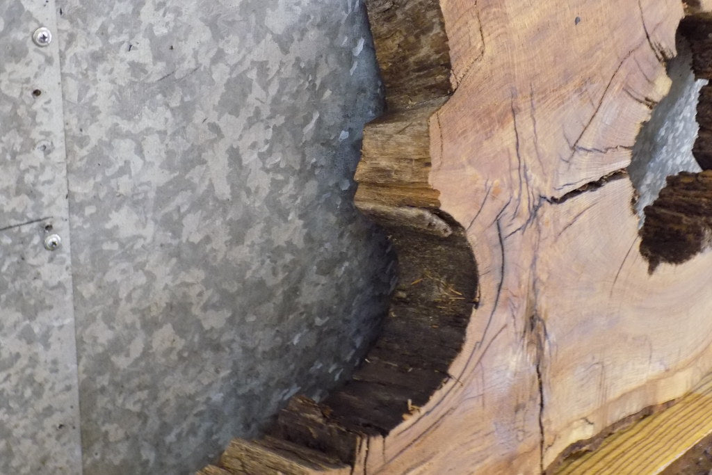 2- Live Edge White Oak Oval Cut Rustic Split Board/Epoxy Project 6131