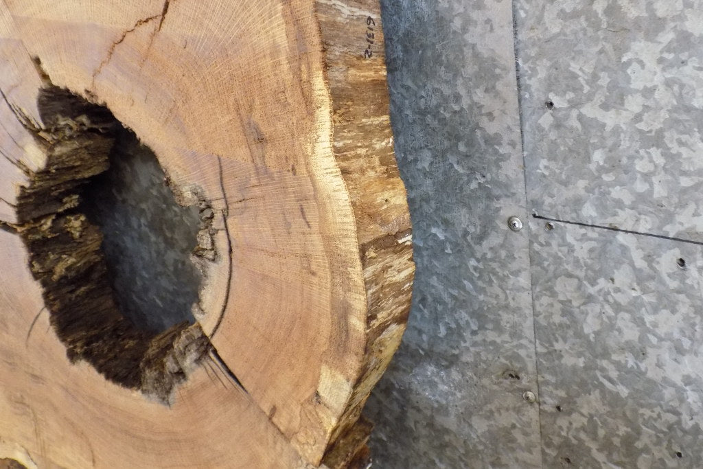 2- Live Edge White Oak Oval Cut Rustic Split Board/Epoxy Project 6131