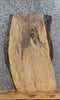 Thumbnail for Live Edge Spalted Maple End/Accent/Headboard Table Top 613