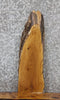 Thumbnail for Live Edge White Oak Side Table Top/Taxidermy Mount Slab 613