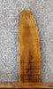 Thumbnail for Live Edge White Oak Side Table Top/Taxidermy Mount Slab 613