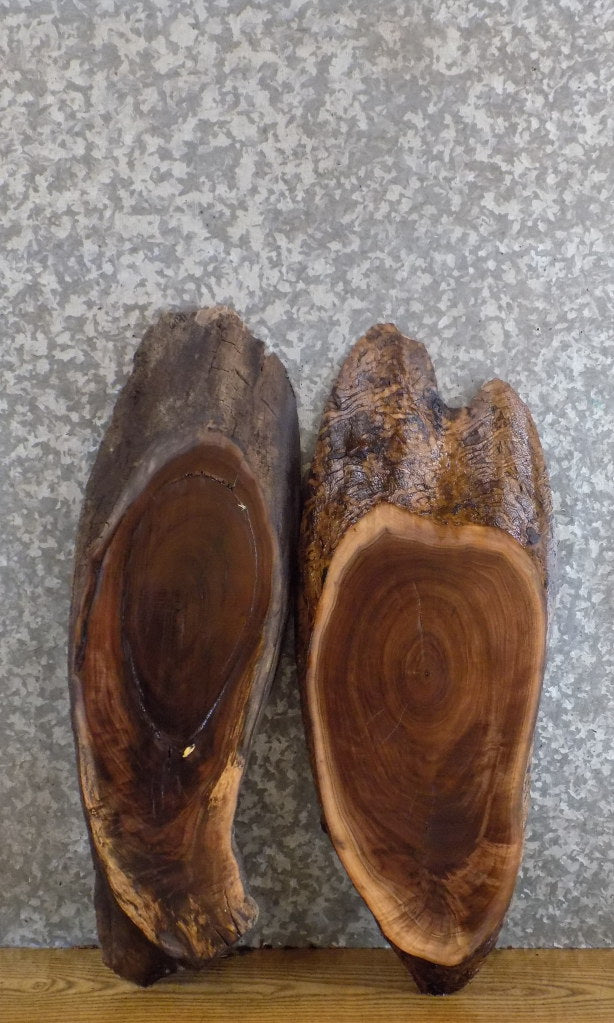 2- Natural Edge Oval Cut Black Walnut DIY Charcuterie Boards 6141-6142