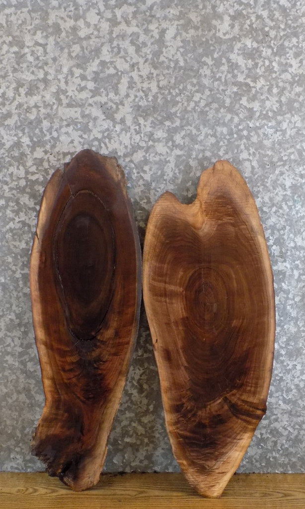 2- Natural Edge Oval Cut Black Walnut DIY Charcuterie Boards 6141-6142