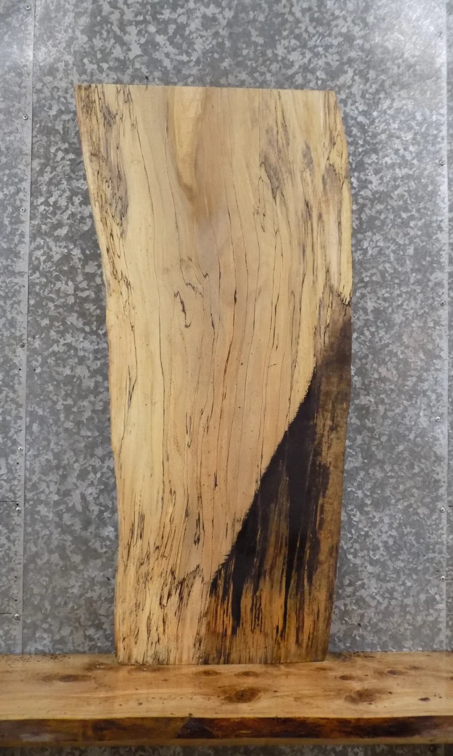 Live Edge Spalted Maple Accent Table/Wall Shelf/Footboard Slab 614