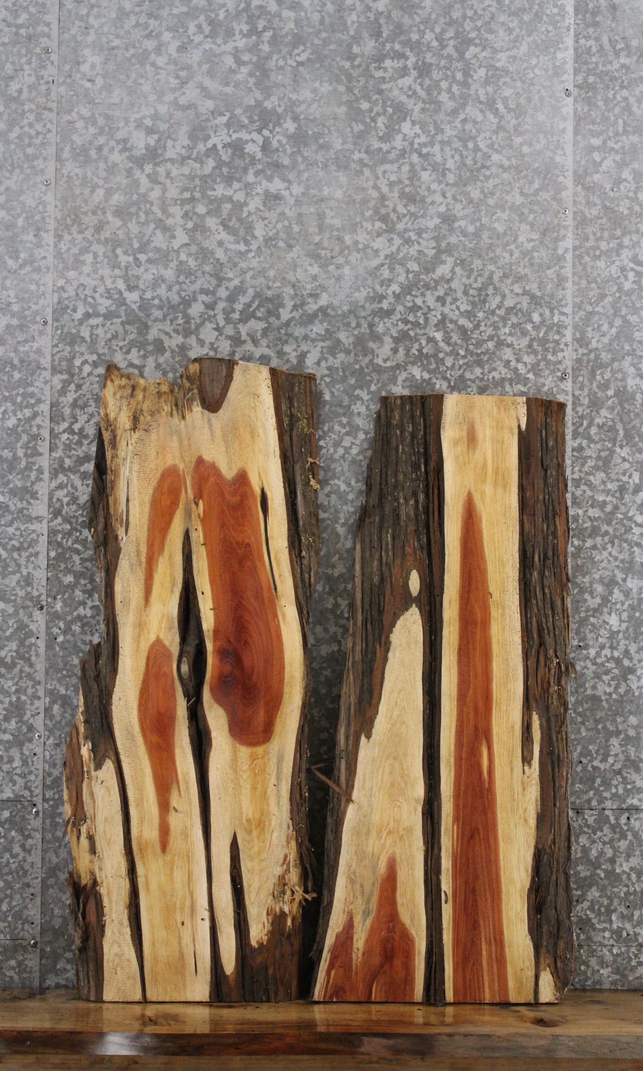 2- Red Cedar Live Edge Charcuterie/Taxidermy Slabs 617-618