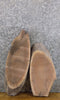 Thumbnail for 2- Live Edge Oval Cut Black Walnut Craft Pack/Clock Plaque Slabs 6204-6205