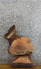 Thumbnail for Partial Live Edge Oval Cut Ash Accent Table Top Slab CLOSEOUT 6284