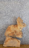 Thumbnail for Partial Live Edge Oval Cut Ash Accent Table Top Slab CLOSEOUT 6284