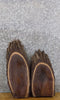 Thumbnail for 2- Live Edge Oval Cut Black Walnut Rustic DIY Charcuterie Boards 6287-6288