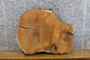 Thumbnail for Natural Edge Oval Cut Salvaged White Oak End Table Top Slab 6295