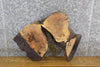 Thumbnail for Live Edge Oval Cut Ash Rustic DIY Charcuterie Slab CLOSEOUT 6300