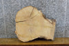 Thumbnail for Natural Edge Round Cut White Oak End/Entry Table Top Slab 6301