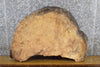 Thumbnail for Oval Cut Live Edge Maple Entry/End Table Top Slab CLOSEOUT 6304