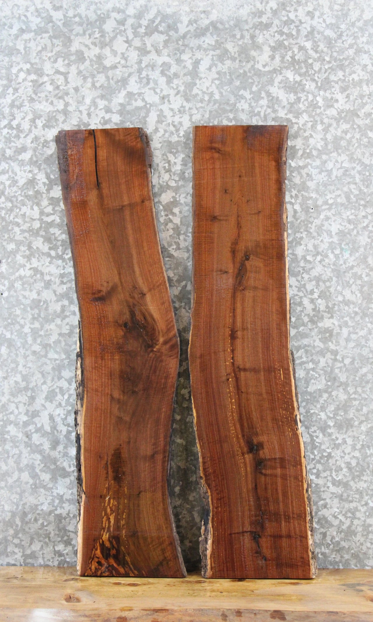 2- Walnut Live Edge Taxidermy Mount Slabs 631-632