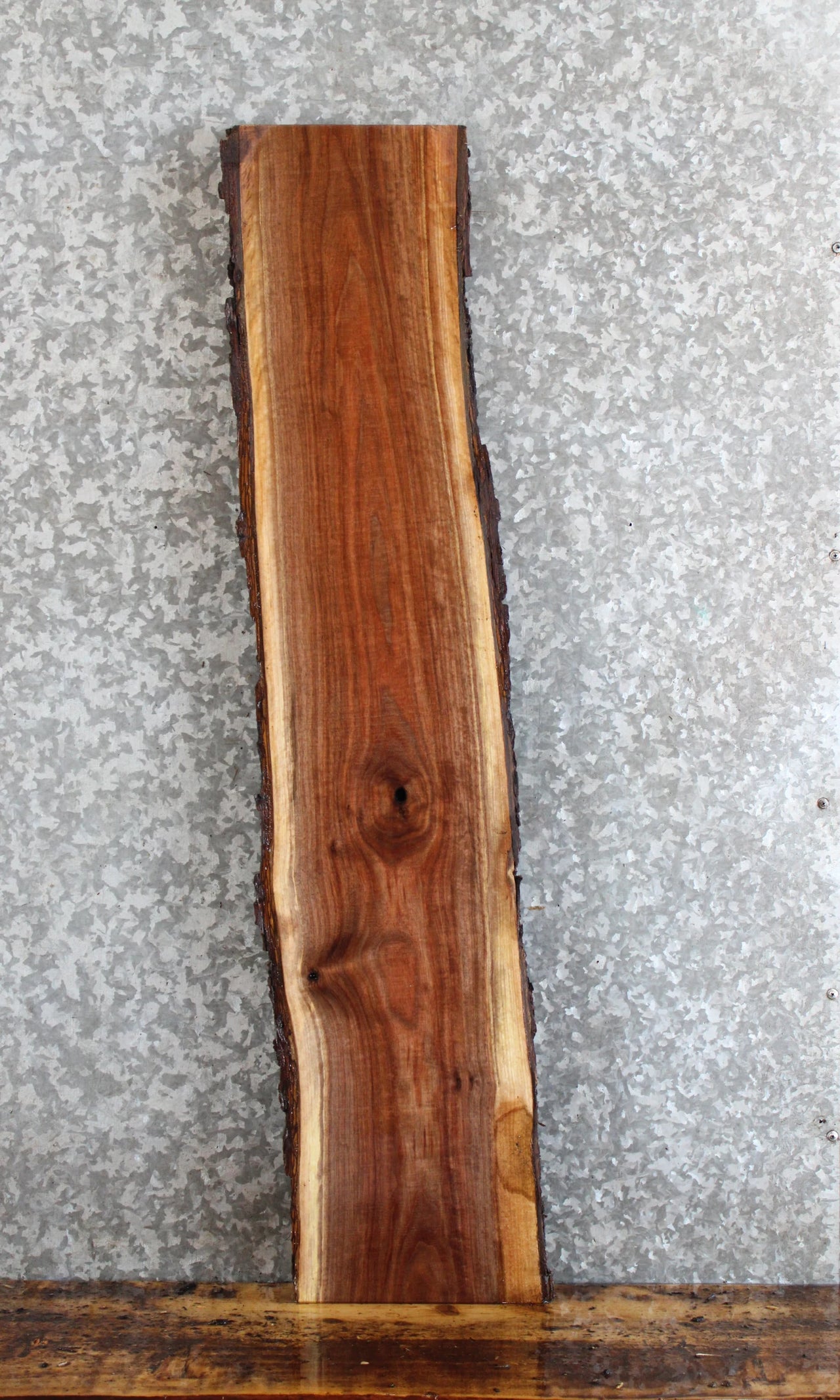 Live Edge Black Walnut Side Table Top/Wall Shelf 632