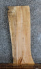 Thumbnail for Live Edge Spalted Maple Wall Shelf/Side Table Top 633