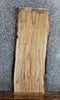 Thumbnail for Live Edge Spalted Maple Side Table Top/Wall Shelf Slab 634